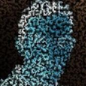 Miguel San Miguel's avatar